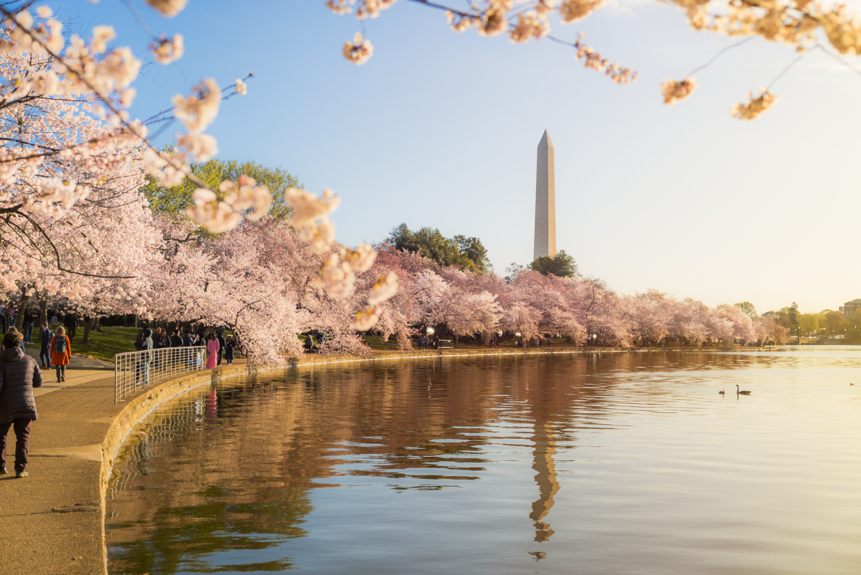 Destination DC Launches Phase II of Washington, DC Special Agent Academy for Travel Professionals in India