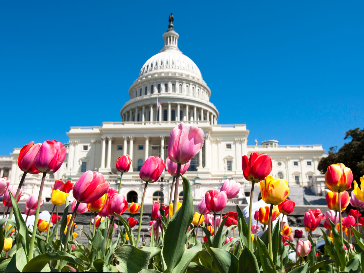 Destination DC Focuses on Strengthening Indian Market Ties